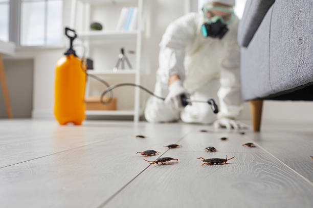 Commercial Kitchen Cockroach Control in East Quogue